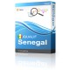 IQUALIF Senegal Yellow Data Pages, Businesses